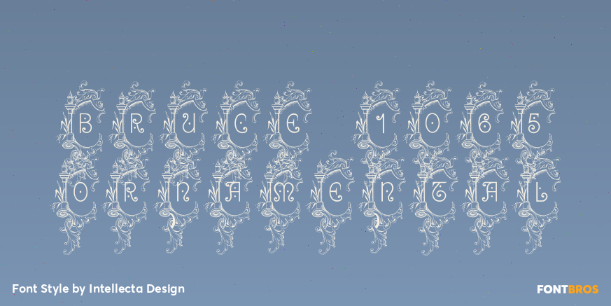 Bruce 1065 Ornamental Poster