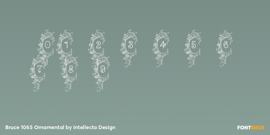 Bruce 1065 Ornamental Font Poster #1