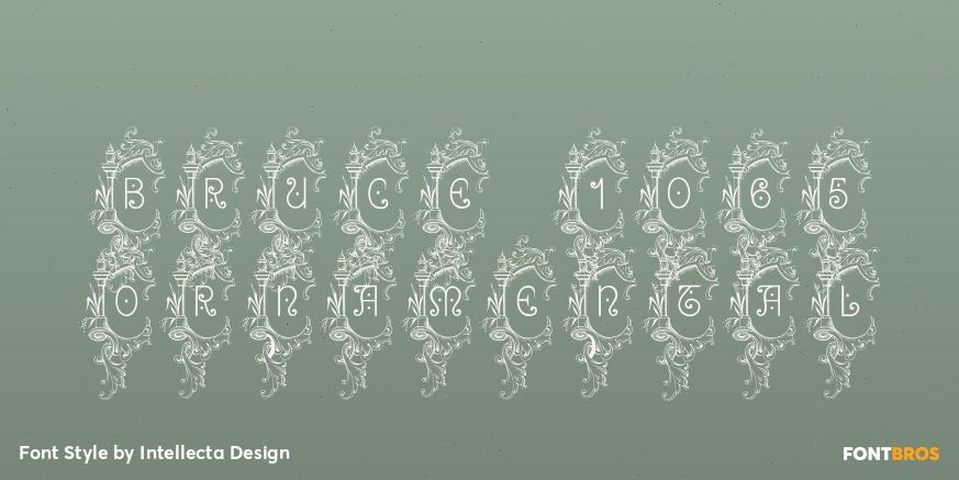 Bruce 1065 Ornamental Poster