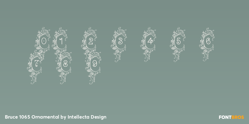 Bruce 1065 Ornamental Font Poster #4
