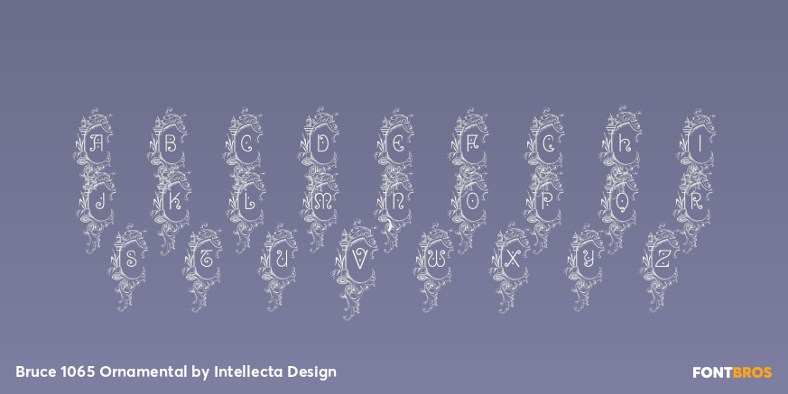 Bruce 1065 Ornamental Font Poster #1