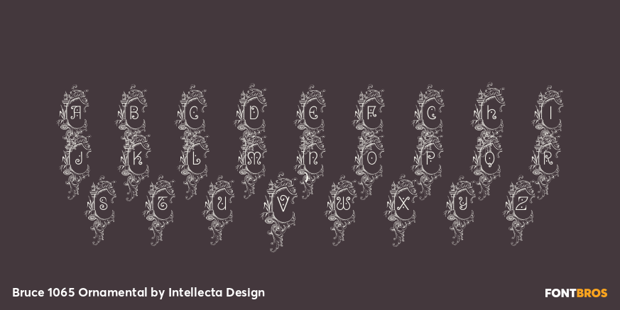 Bruce 1065 Ornamental Font Poster #1
