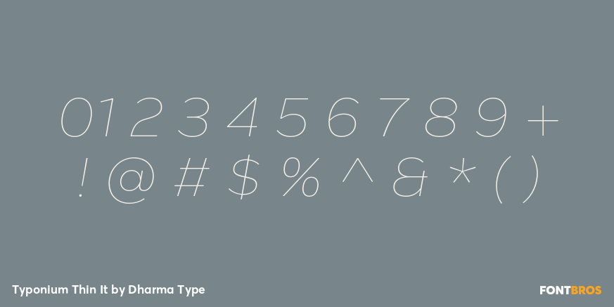 Typonium Thin It Font Poster #4