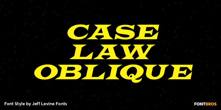Case Law Oblique Font Poster #1