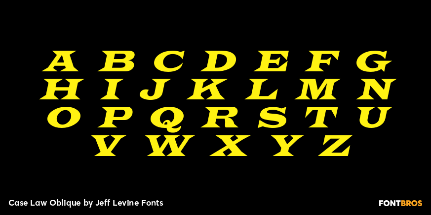 Case Law Oblique Font Poster #3