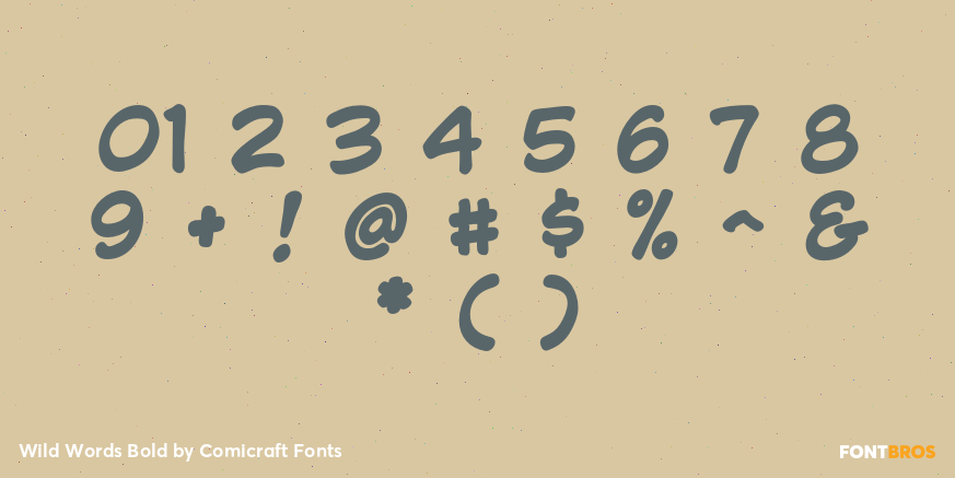 Wild Words Bold Font Poster #4