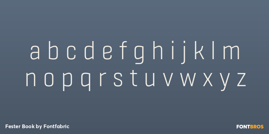 Fester Book Font Poster #3