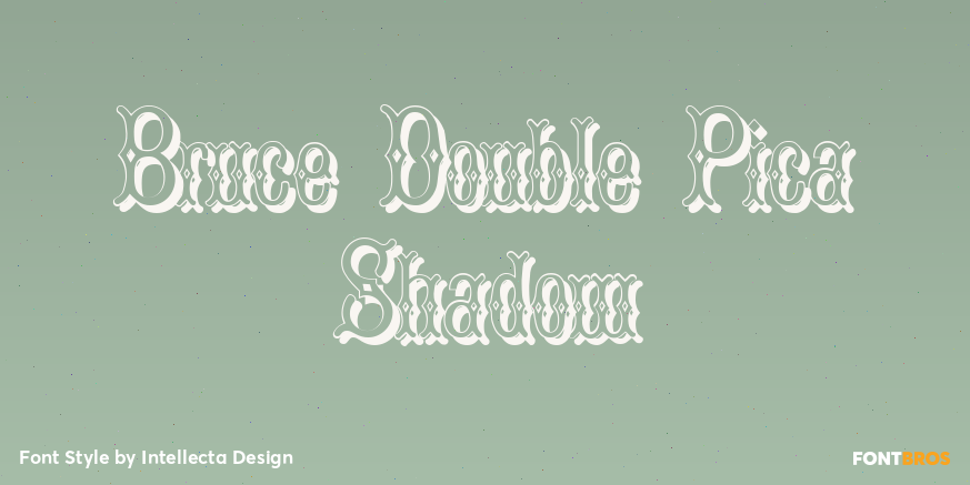 Bruce Double Pica Shadow Poster