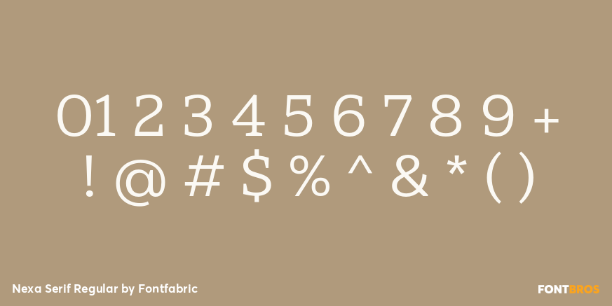 Nexa Serif Regular Font Poster #4