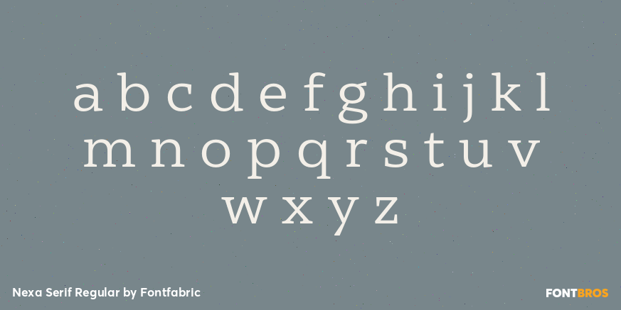 Nexa Serif Regular Font Poster #3