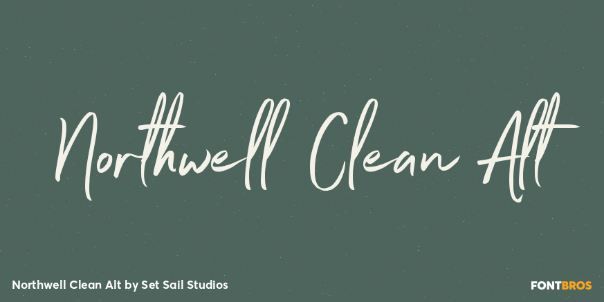 Northwell Clean Alt Font Poster #1