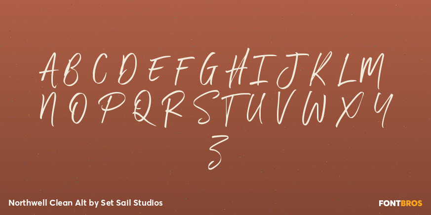 Northwell Clean Alt Font Poster #2