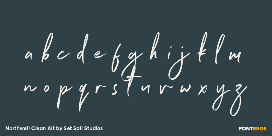 Northwell Clean Alt Font Poster #3