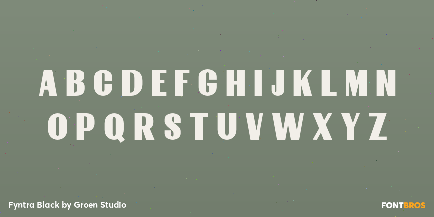 Fyntra Black Font Poster #2
