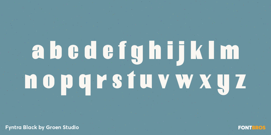 Fyntra Black Font Poster #3