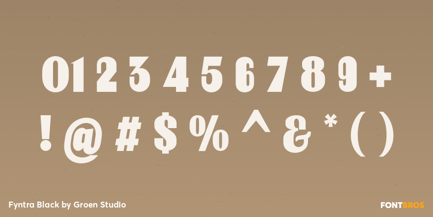 Fyntra Black Font Poster #4