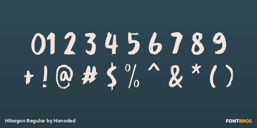 Hibagon Regular Font Poster #4