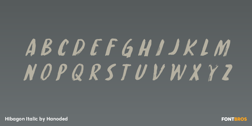 Hibagon Italic Font Poster #2