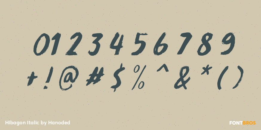 Hibagon Italic Font Poster #4