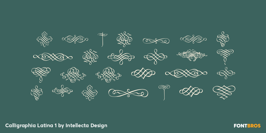 Calligraphia Latina 1 Font Poster #3