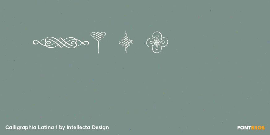 Calligraphia Latina 1 Font Poster #4