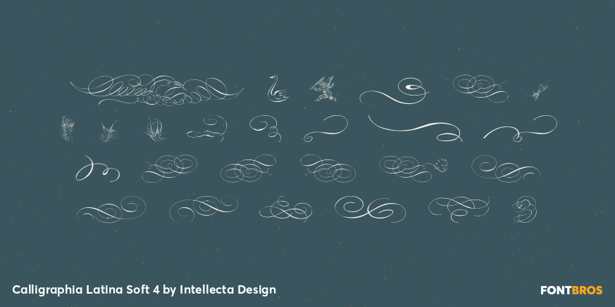 Calligraphia Latina Soft 4 Font Poster #2