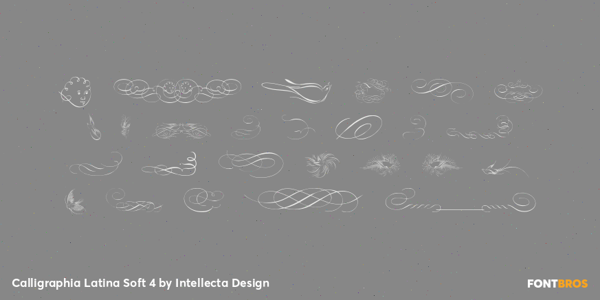Calligraphia Latina Soft 4 Font Poster #3