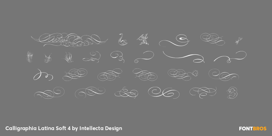 Calligraphia Latina Soft 4 Font Poster #1