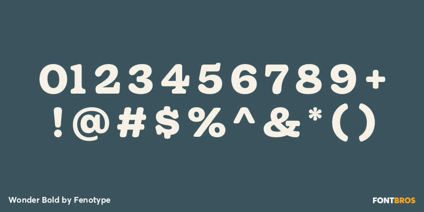 Wonder Bold Font Poster #1