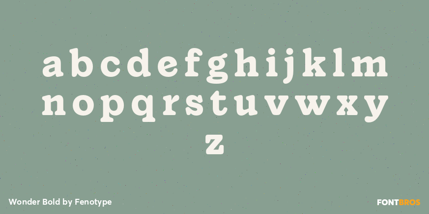 Wonder Bold Font Poster #1