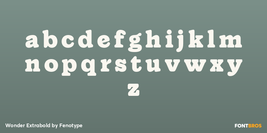 Wonder Extrabold Font Poster #3