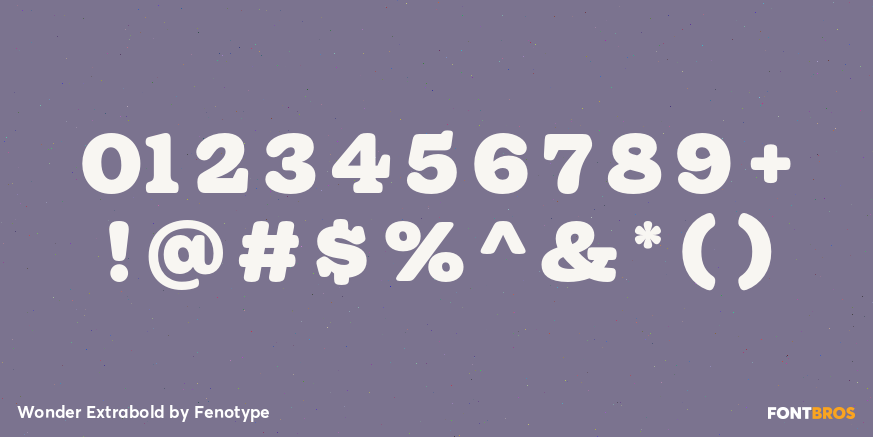 Wonder Extrabold Font Poster #4