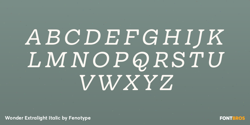 Wonder Extralight Italic Font Poster #1