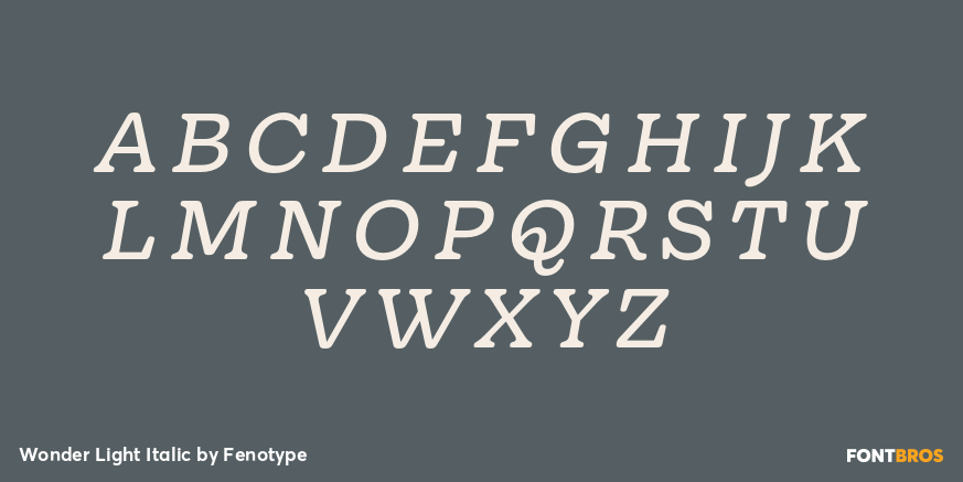 Wonder Light Italic Font Poster #1