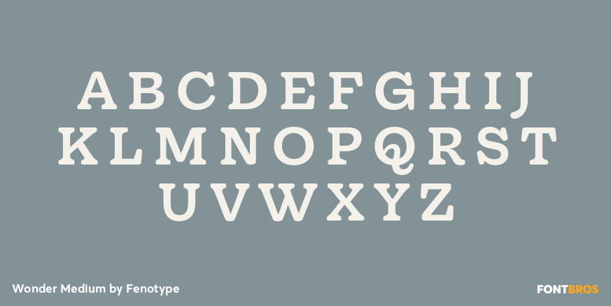 Wonder Medium Font Poster #2