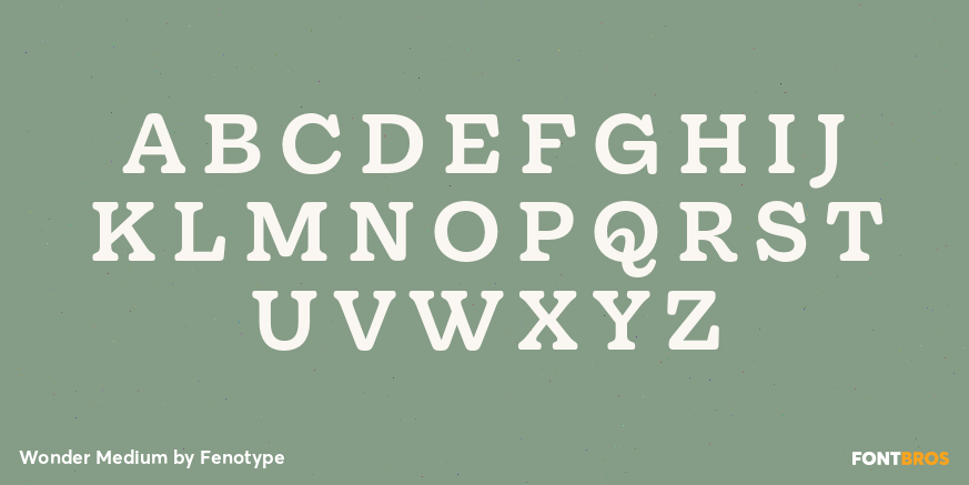 Wonder Medium Font Poster #1