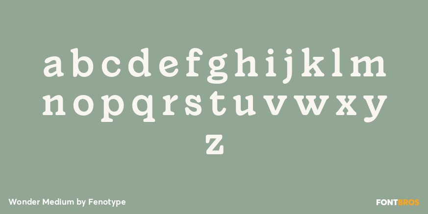 Wonder Medium Font Poster #1