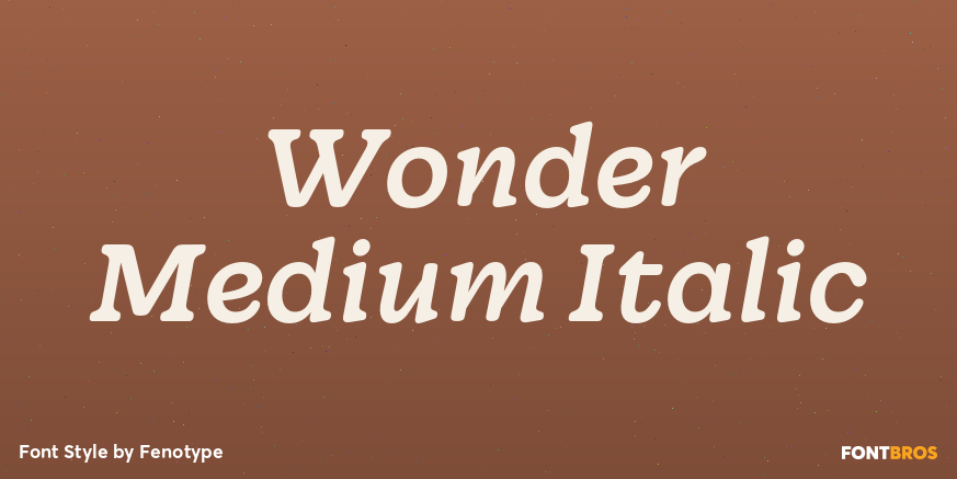 Wonder Medium Italic Font Poster #1