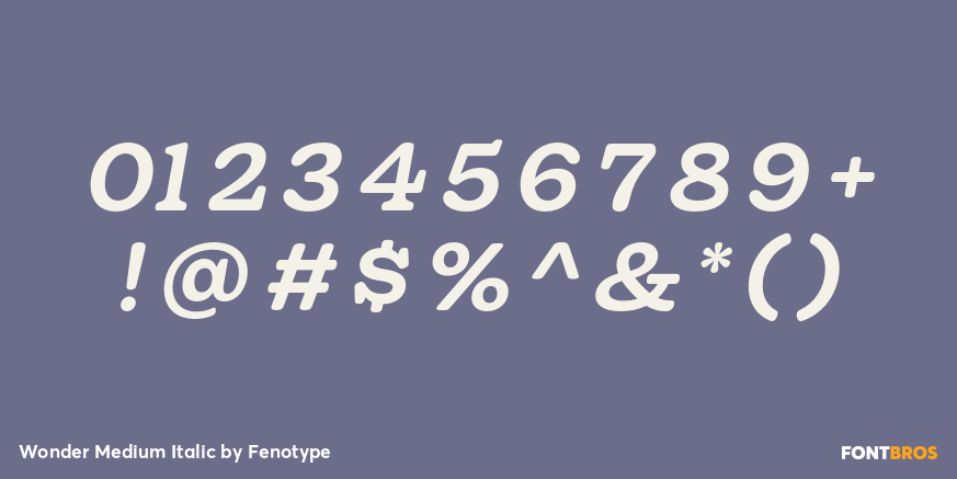 Wonder Medium Italic Font Poster #1