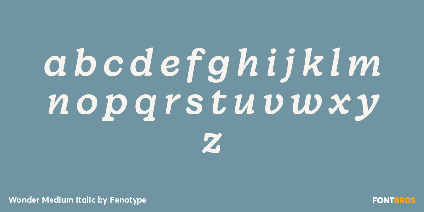 Wonder Medium Italic Font Poster #1
