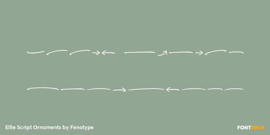 Ellie Script Ornaments Poster