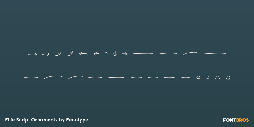 Ellie Script Ornaments Font Poster #3