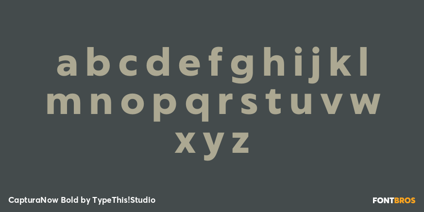 CapturaNow Bold Font Poster #3