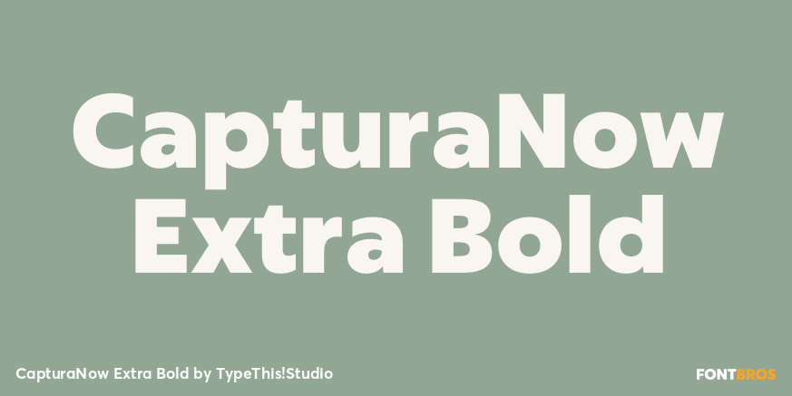 CapturaNow Extra Bold Font Poster #1