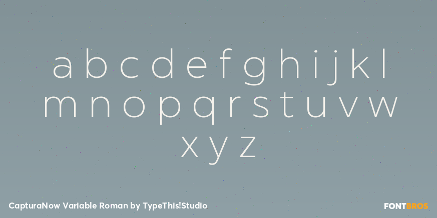CapturaNow Variable Roman Font Poster #3