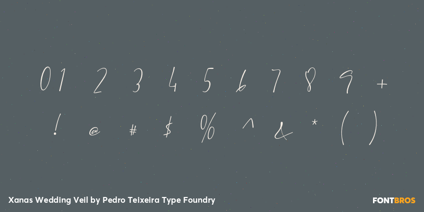 Xanas Wedding Veil Font Poster #1