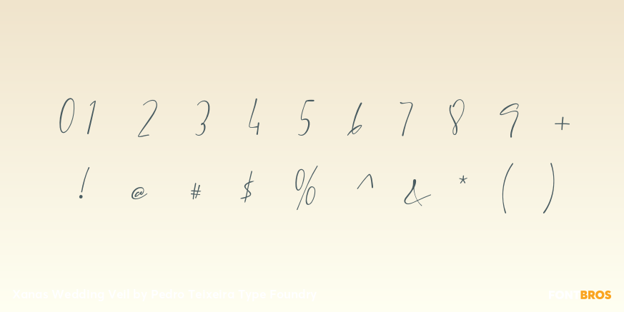 Xanas Wedding Veil Font Poster #4