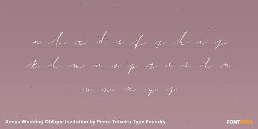 Xanas Wedding Oblique Invitation Font Poster #3