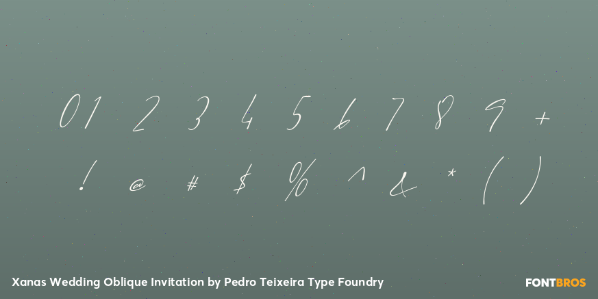 Xanas Wedding Oblique Invitation Font Poster #4
