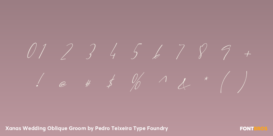Xanas Wedding Oblique Groom Font Poster #1